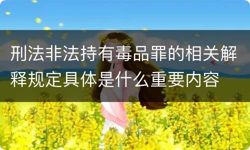 刑法非法持有毒品罪的相关解释规定具体是什么重要内容