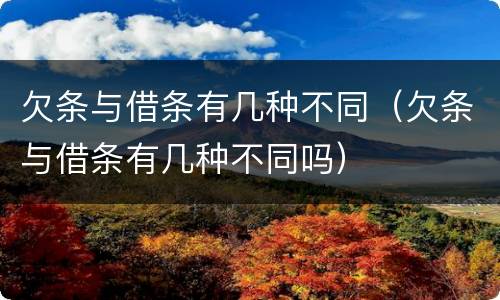 欠条与借条有几种不同（欠条与借条有几种不同吗）