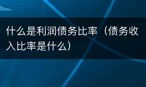 什么是利润债务比率（债务收入比率是什么）
