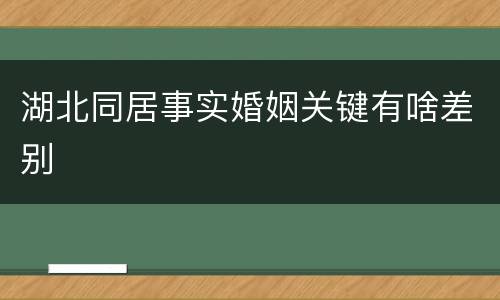 湖北同居事实婚姻关键有啥差别