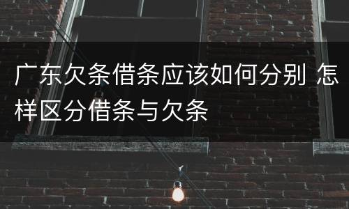 广东欠条借条应该如何分别 怎样区分借条与欠条