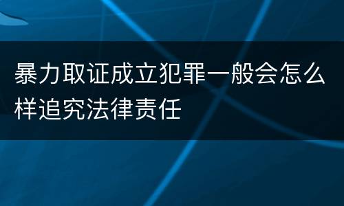 暴力取证成立犯罪一般会怎么样追究法律责任
