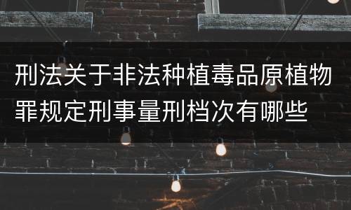刑法关于非法种植毒品原植物罪规定刑事量刑档次有哪些