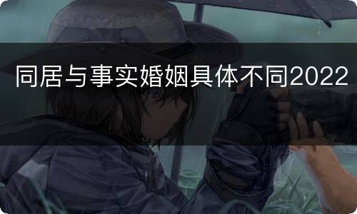 同居与事实婚姻具体不同2022