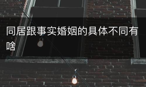同居跟事实婚姻的具体不同有啥