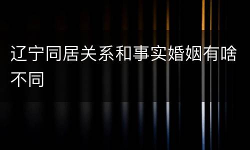 辽宁同居关系和事实婚姻有啥不同
