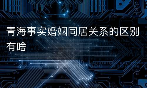青海事实婚姻同居关系的区别有啥