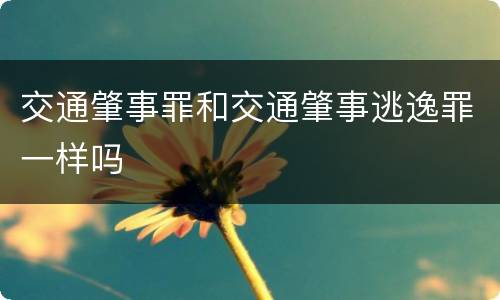 交通肇事罪和交通肇事逃逸罪一样吗