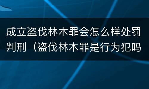 成立盗伐林木罪会怎么样处罚判刑（盗伐林木罪是行为犯吗）