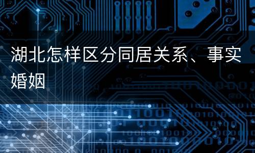湖北怎样区分同居关系、事实婚姻