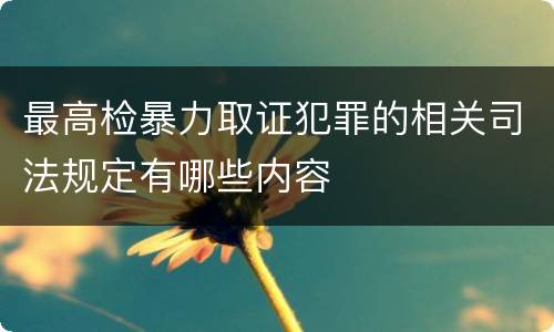 最高检暴力取证犯罪的相关司法规定有哪些内容