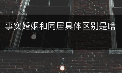 事实婚姻和同居具体区别是啥