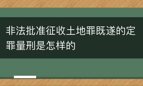 非法批准征收土地罪既遂的定罪量刑是怎样的