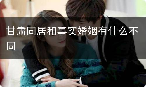 甘肃同居和事实婚姻有什么不同