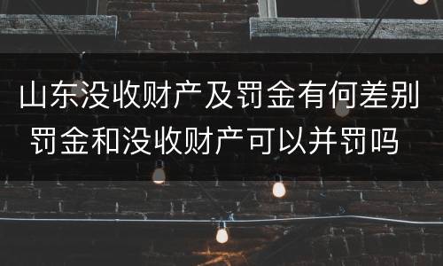 山东没收财产及罚金有何差别 罚金和没收财产可以并罚吗