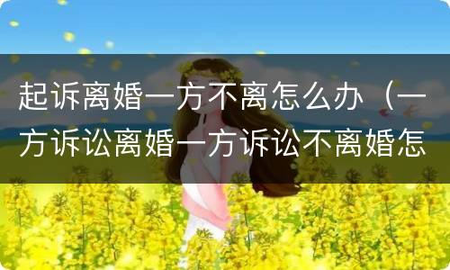 起诉离婚一方不离怎么办（一方诉讼离婚一方诉讼不离婚怎么办）