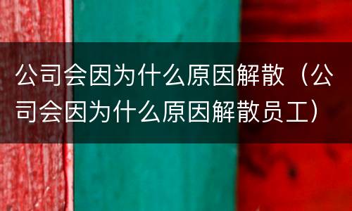 公司会因为什么原因解散（公司会因为什么原因解散员工）