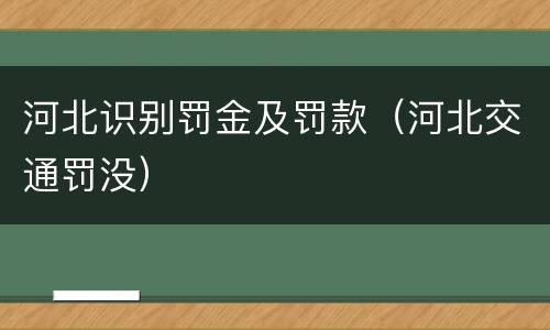 河北识别罚金及罚款（河北交通罚没）