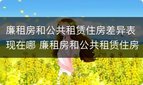廉租房和公共租赁住房差异表现在哪 廉租房和公共租赁住房差异表现在哪些方面