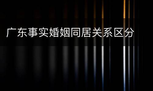 广东事实婚姻同居关系区分