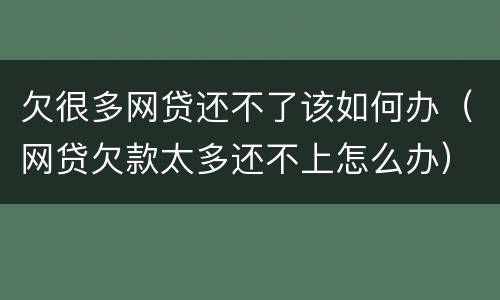 欠很多网贷还不了该如何办（网贷欠款太多还不上怎么办）