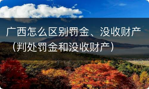 广西怎么区别罚金、没收财产（判处罚金和没收财产）