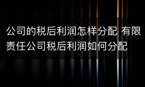 公司的税后利润怎样分配 有限责任公司税后利润如何分配