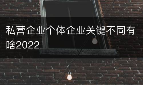 私营企业个体企业关键不同有啥2022