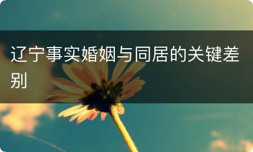 辽宁事实婚姻与同居的关键差别
