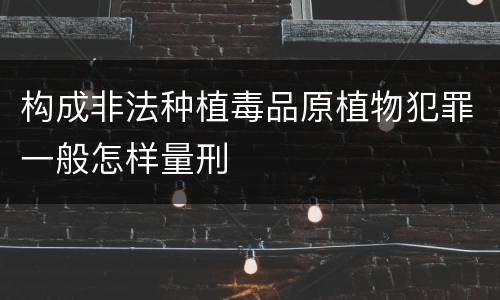 构成非法种植毒品原植物犯罪一般怎样量刑