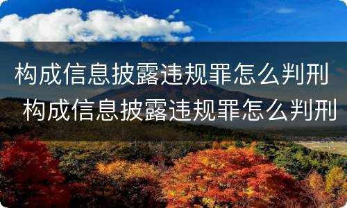 构成信息披露违规罪怎么判刑 构成信息披露违规罪怎么判刑的