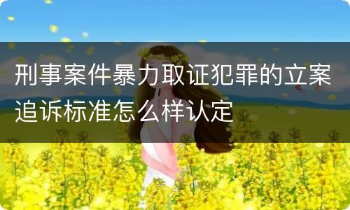 刑事案件暴力取证犯罪的立案追诉标准怎么样认定