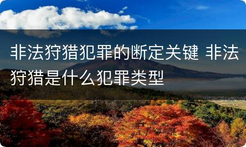 非法狩猎犯罪的断定关键 非法狩猎是什么犯罪类型