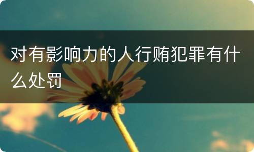 对有影响力的人行贿犯罪有什么处罚