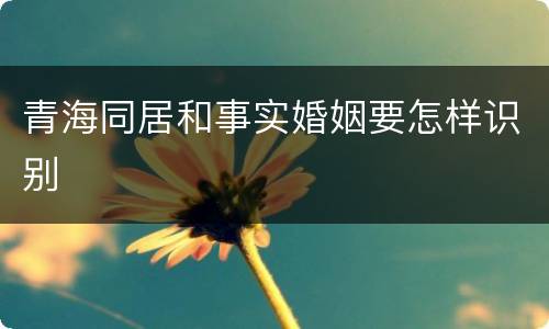 青海同居和事实婚姻要怎样识别