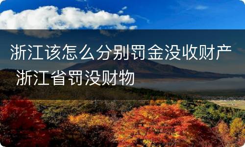 浙江该怎么分别罚金没收财产 浙江省罚没财物