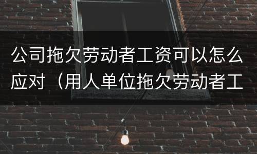 公司拖欠劳动者工资可以怎么应对（用人单位拖欠劳动者工资怎么办）
