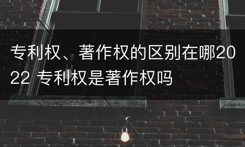 专利权、著作权的区别在哪2022 专利权是著作权吗