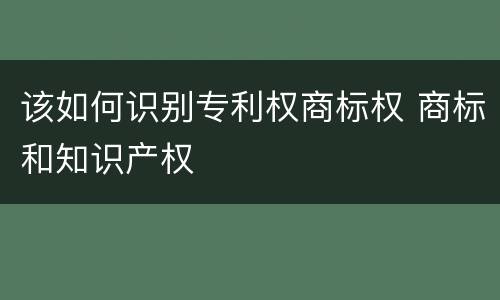 该如何识别专利权商标权 商标和知识产权