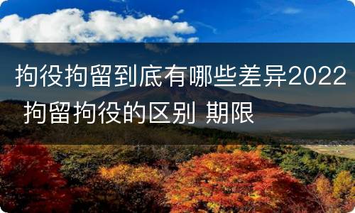 拘役拘留到底有哪些差异2022 拘留拘役的区别 期限