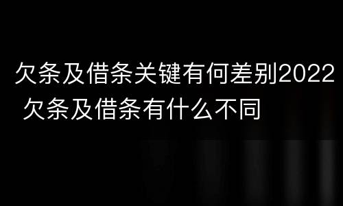欠条及借条关键有何差别2022 欠条及借条有什么不同