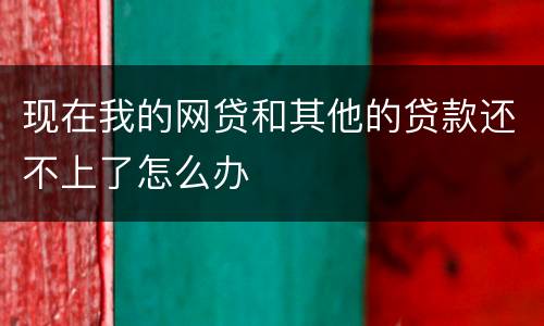 现在我的网贷和其他的贷款还不上了怎么办