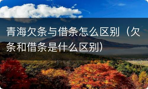 青海欠条与借条怎么区别（欠条和借条是什么区别）