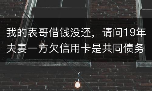 我的表哥借钱没还，请问19年夫妻一方欠信用卡是共同债务吗