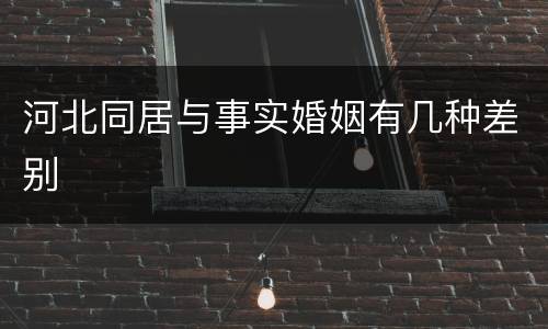 河北同居与事实婚姻有几种差别