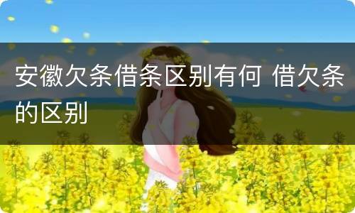 安徽欠条借条区别有何 借欠条的区别
