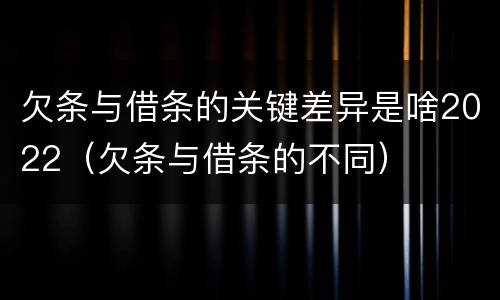 欠条与借条的关键差异是啥2022（欠条与借条的不同）