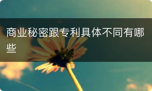 商业秘密跟专利具体不同有哪些