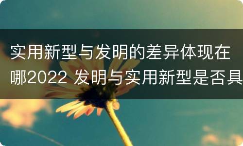 实用新型与发明的差异体现在哪2022 发明与实用新型是否具有实用性