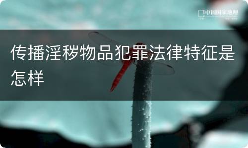 传播淫秽物品犯罪法律特征是怎样